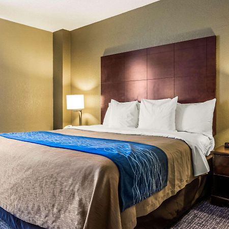 Comfort Inn Atlanta Downtown South מראה חיצוני תמונה