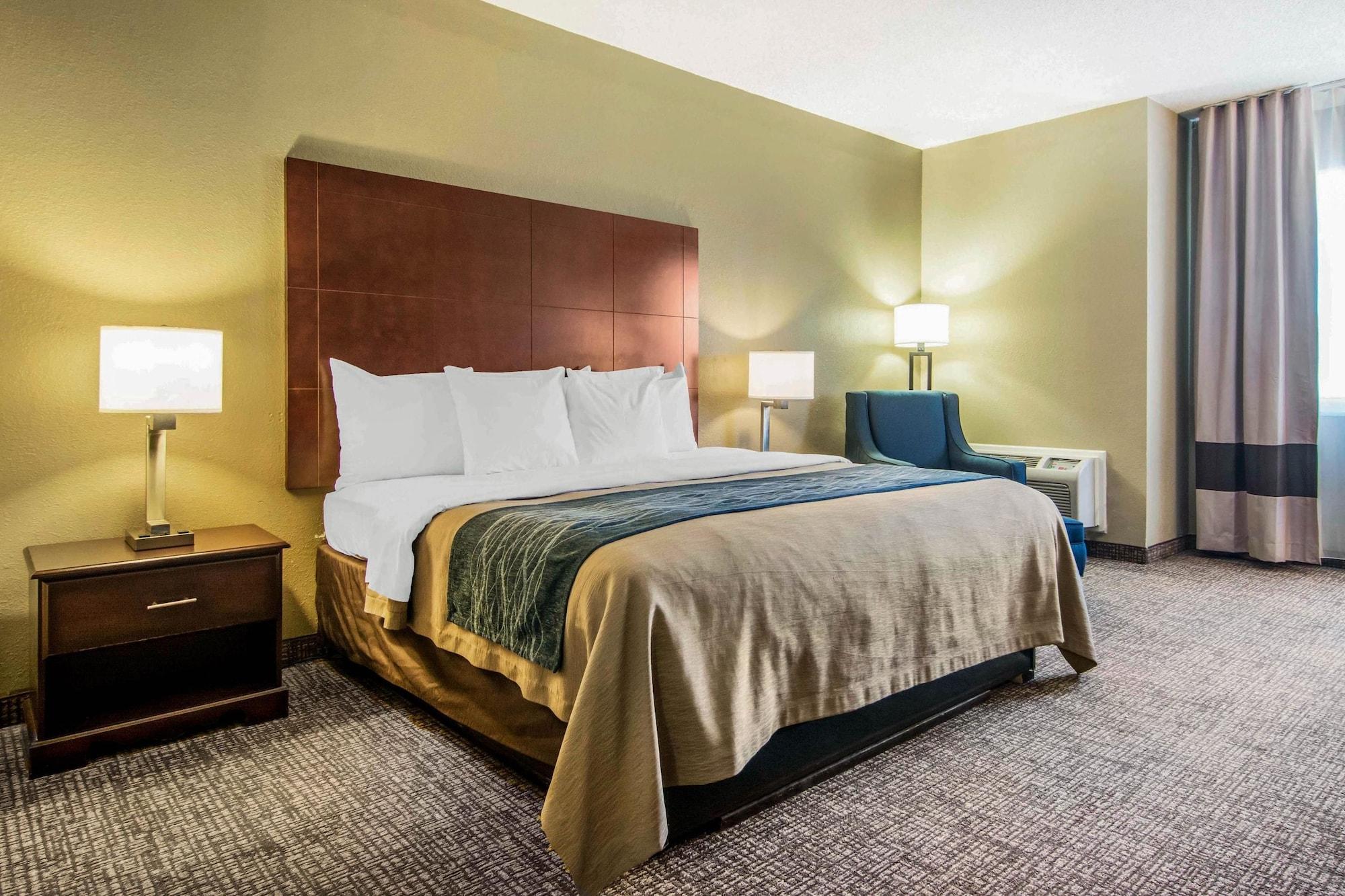 Comfort Inn Atlanta Downtown South מראה חיצוני תמונה