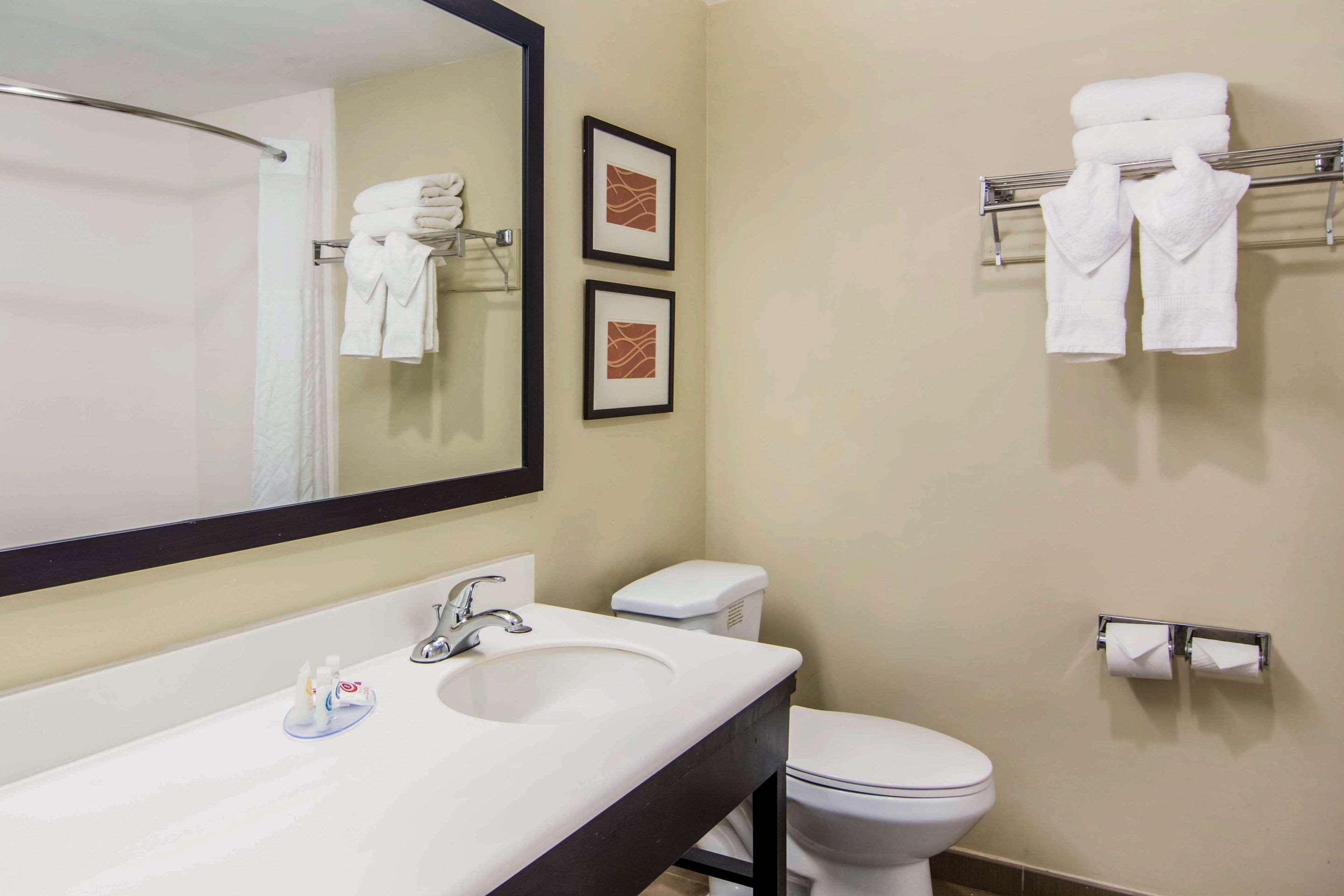 Comfort Inn Atlanta Downtown South מראה חיצוני תמונה
