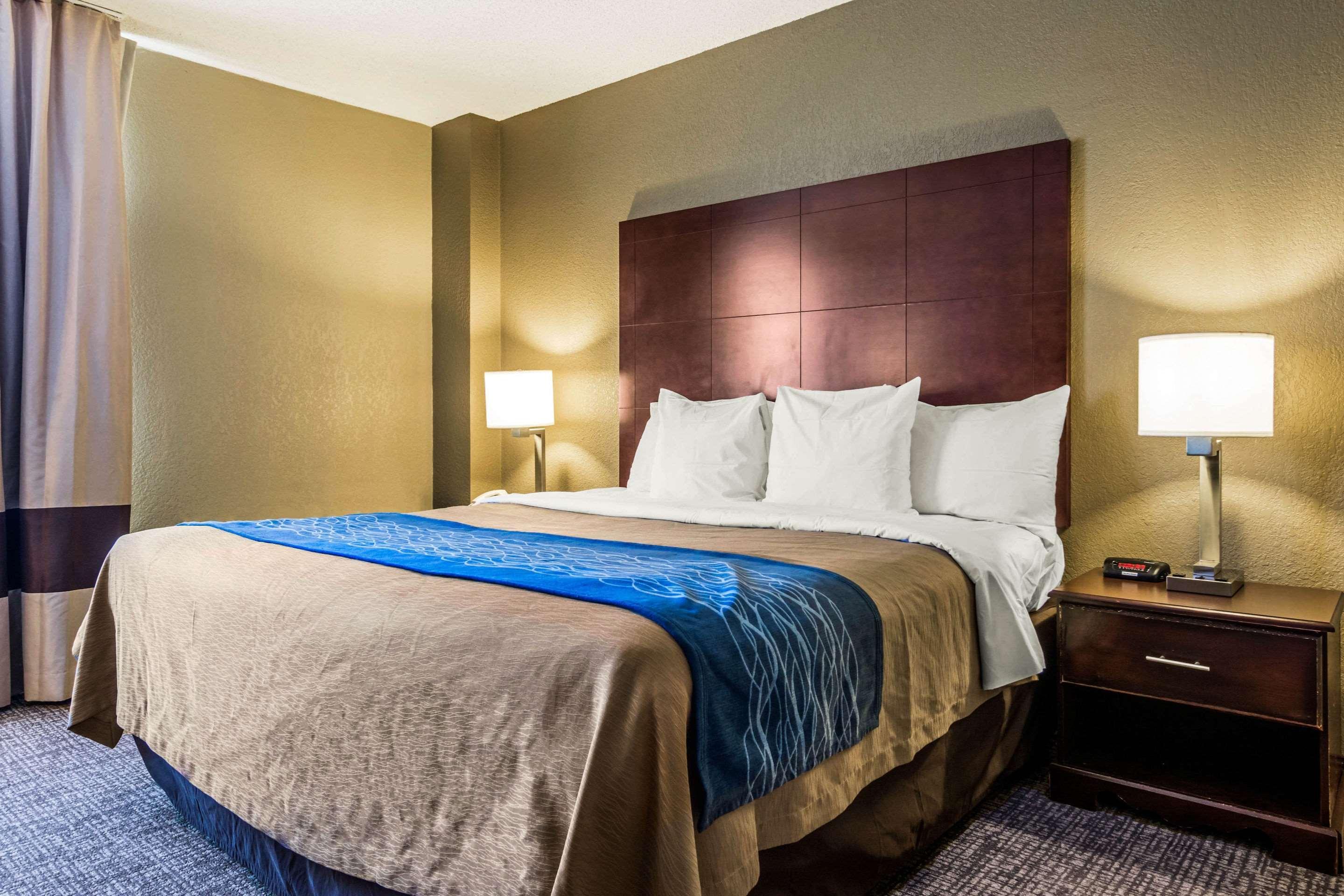 Comfort Inn Atlanta Downtown South מראה חיצוני תמונה