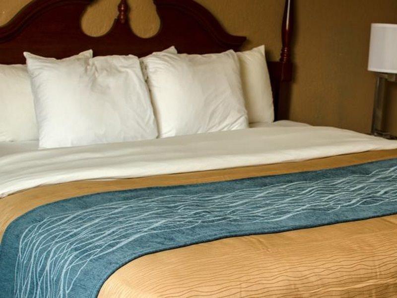 Comfort Inn Atlanta Downtown South מראה חיצוני תמונה