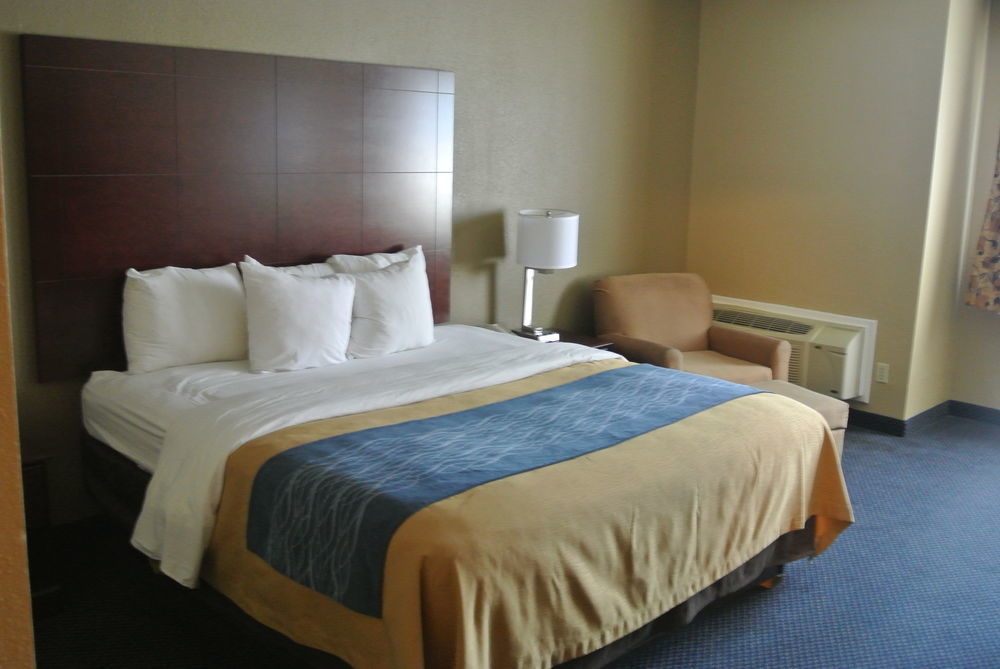 Comfort Inn Atlanta Downtown South מראה חיצוני תמונה