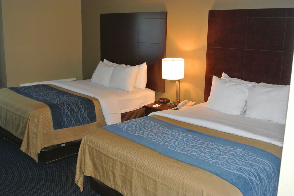 Comfort Inn Atlanta Downtown South מראה חיצוני תמונה