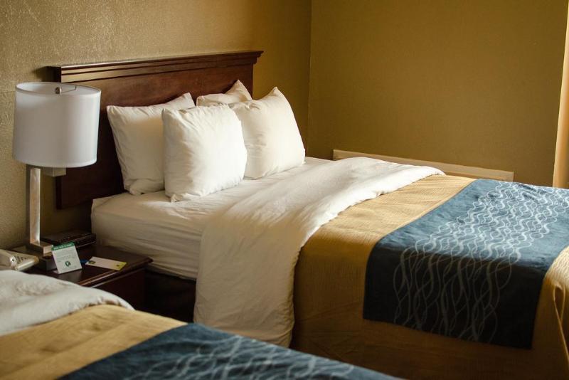 Comfort Inn Atlanta Downtown South מראה חיצוני תמונה